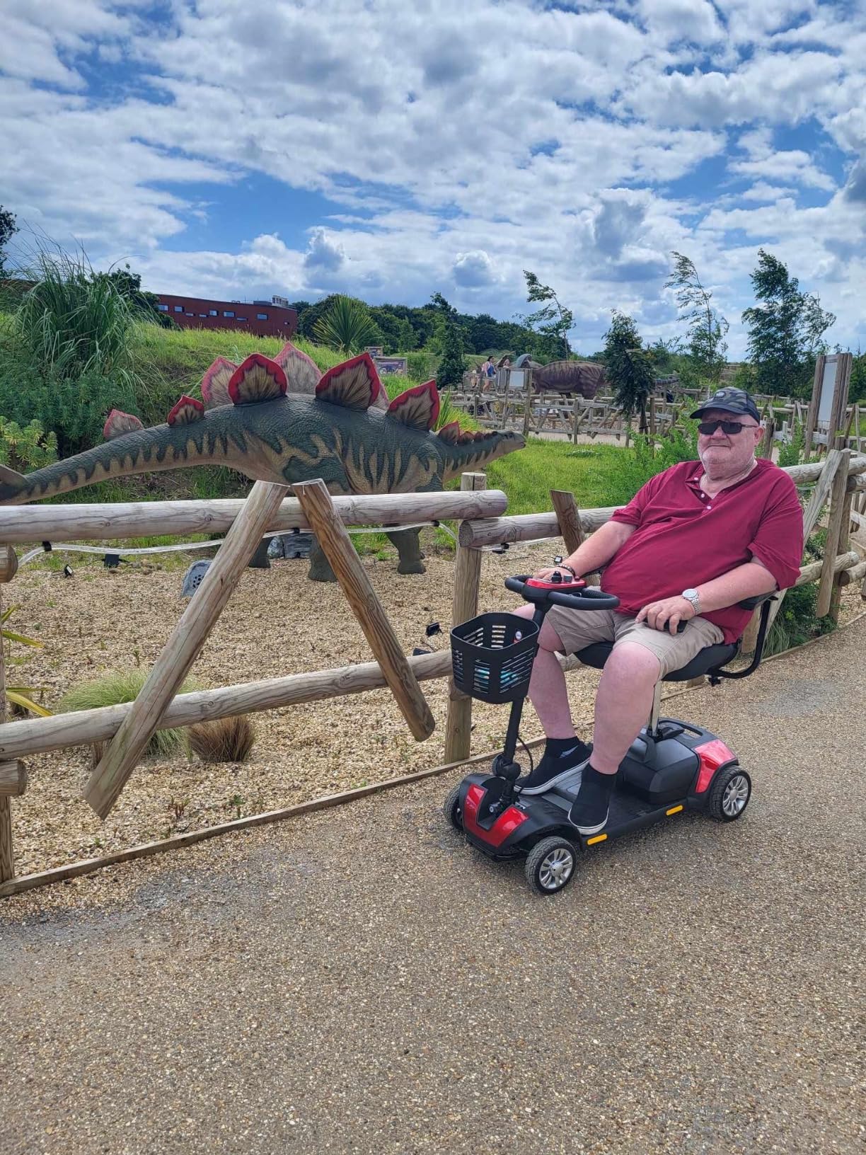 Livewell mobility scooter - Customer review photo 1